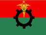 বিএনপির লোগো