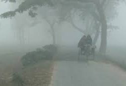 দিন ও রাতের তাপমাত্রার পার্থক্য খুব বেশি না থাকায় শীত বেশি ১