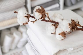 cotton N.T