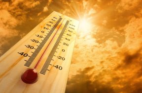 hot weather N.T