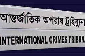 ট্রাইব্যুনাল