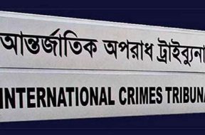 ট্রাইব্যুনাল