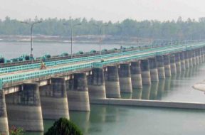 teesta