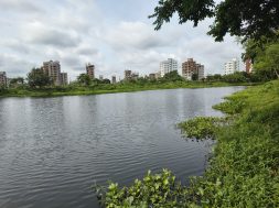 IMG_20250810_085444636_HDR
