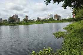 IMG_20250810_085444636_HDR