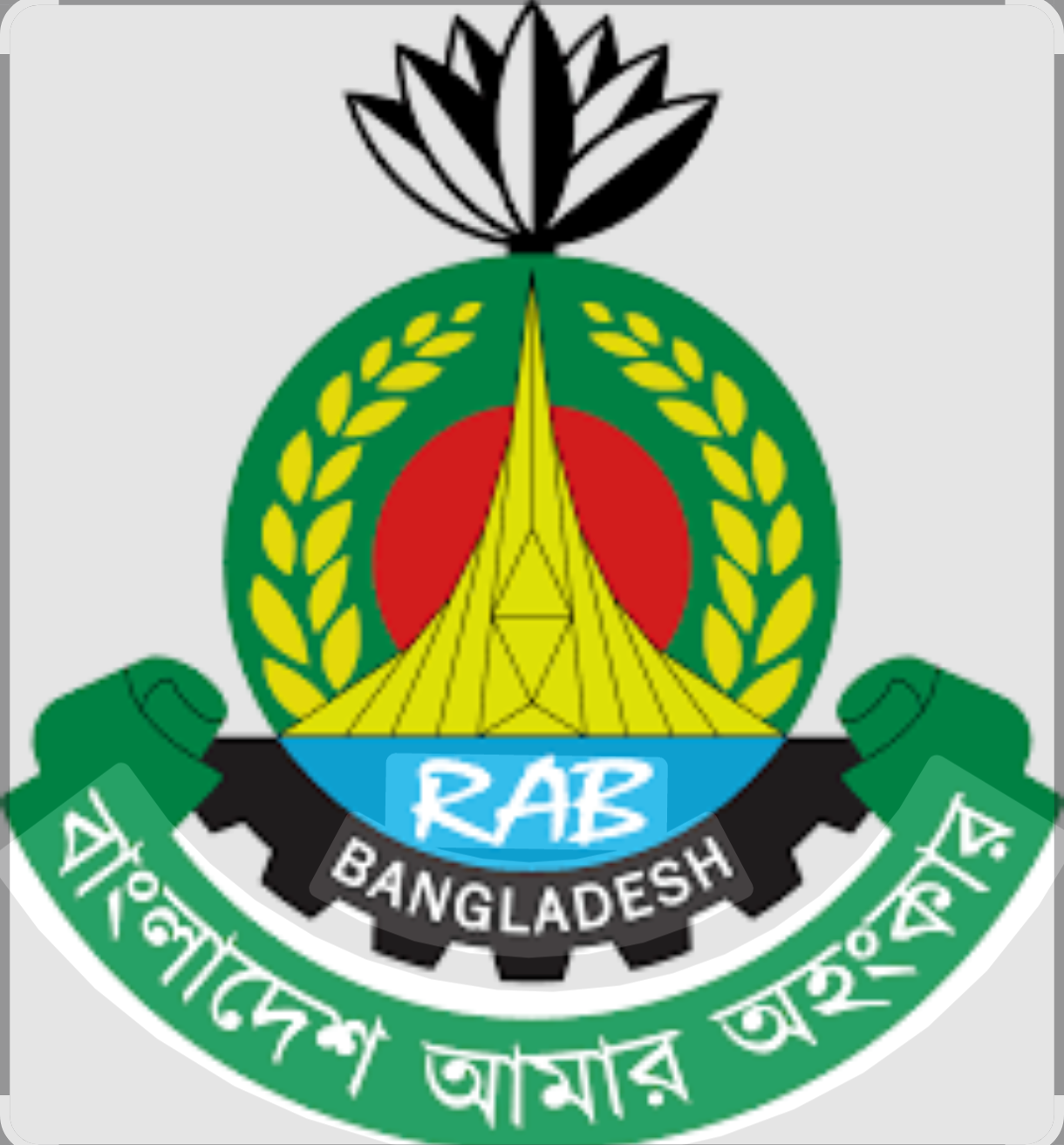 র‍্যাবের ২৮১ টহল দল দুর্গাপূজা উপলক্ষে বাড়তি আজ থেকে মাঠে সক্রিয়
