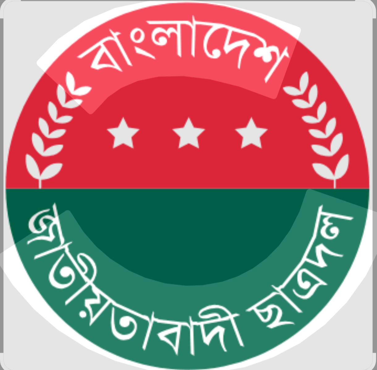 ছাত্রদলের দুই নেতার বিরুদ্ধে কলেজছাত্রী ও তার বৃদ্ধ পিতাকে বিবস্ত্র করে নির্যাতনের অভিযোগ