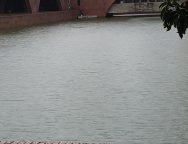 IMG_20251006_133215852