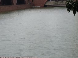 IMG_20251006_133215852