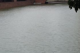 IMG_20251006_133215852