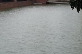 IMG_20251006_133215852