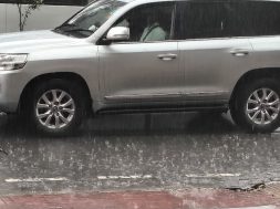 IMG_20251009_111629010_HDR