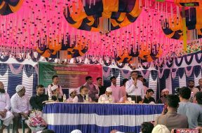 IMG_20251113_165208806~3