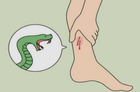 Screenshot_20251108-130157_Google