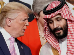 Screenshot_20251119-114531_Google