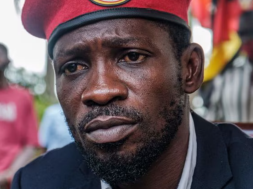 Screenshot_20260117-111952_Google