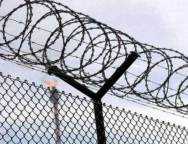 Screenshot_20260128-143613_Google