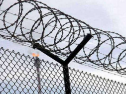 Screenshot_20260128-143613_Google