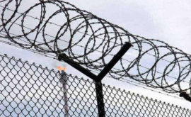 Screenshot_20260128-143613_Google