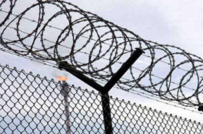 Screenshot_20260128-143613_Google