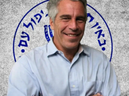 Screenshot_20260203-111552_Google