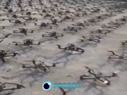 Screenshot_20260225-112526_Telegram