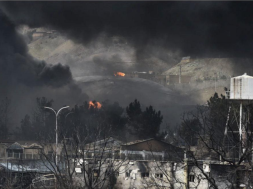 Screenshot_20260309-105658_Telegram