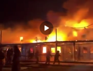 Screenshot_20260317-111938_Telegram