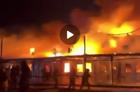 Screenshot_20260317-111938_Telegram