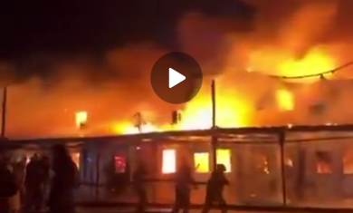 Screenshot_20260317-111938_Telegram