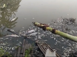 Screenshot_20260330-150519_Lite